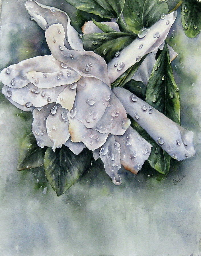 After The Rain-Gardenia Painting by Mary McCullah
