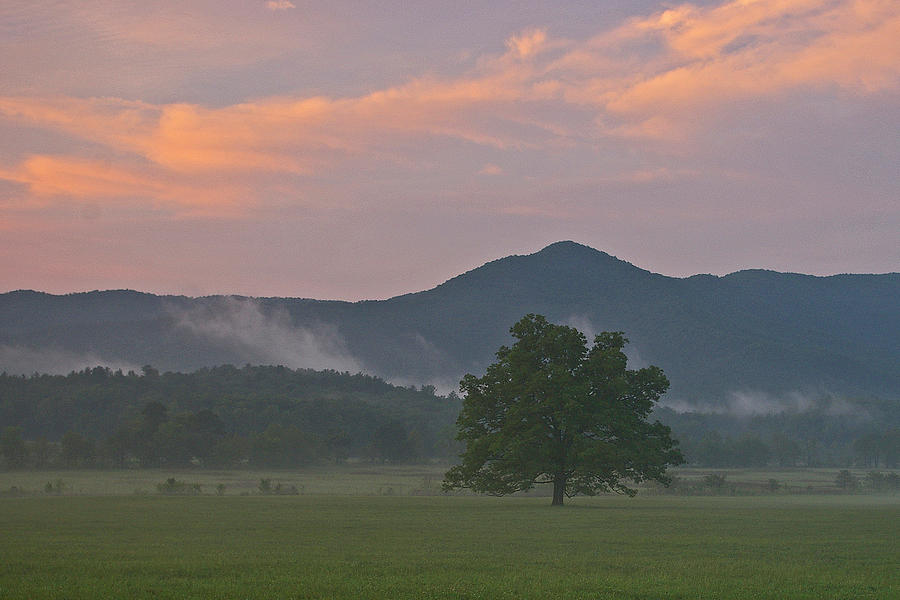 Landscape Photograph - After the rain in Cades Cove TN by Ulrich Burkhalter