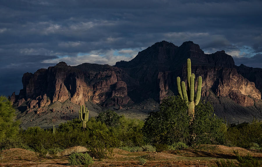 After The Rain in the Superstitions  Photograph by Saija Lehtonen