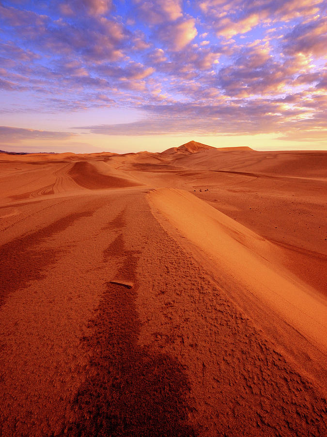 After the rain by Khaled Hmaad After the rain by Khaled Hmaad
