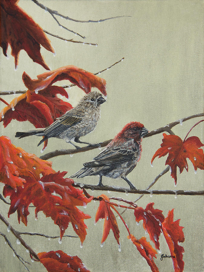 After The Rain - Purple Finch by Johanna Lerwick After The Rain - Purple Finch by Johanna Lerwick