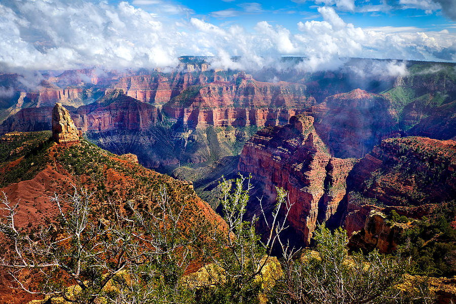Grand Canyon National Park Photograph - After The Rain by Renee Sullivan