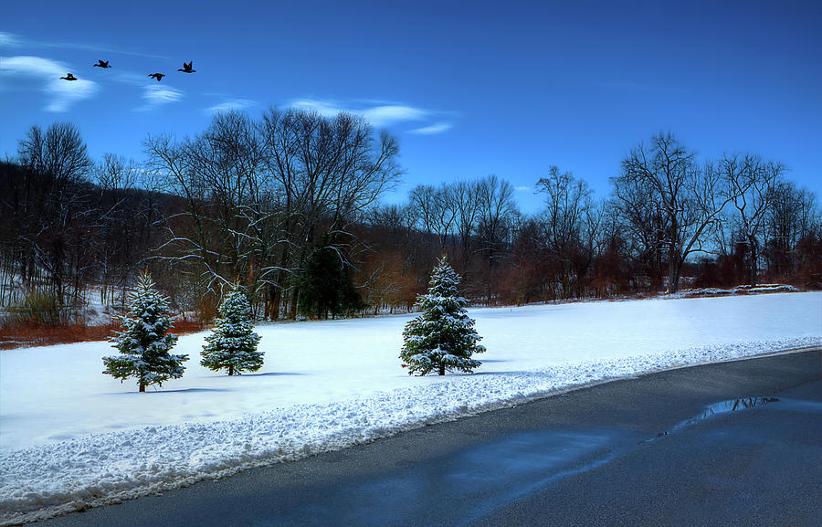 After the Snow Photograph by Reynaldo Williams