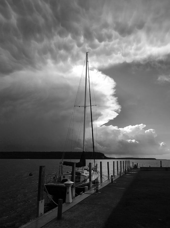 After the Storm B W Photograph by David T Wilkinson
