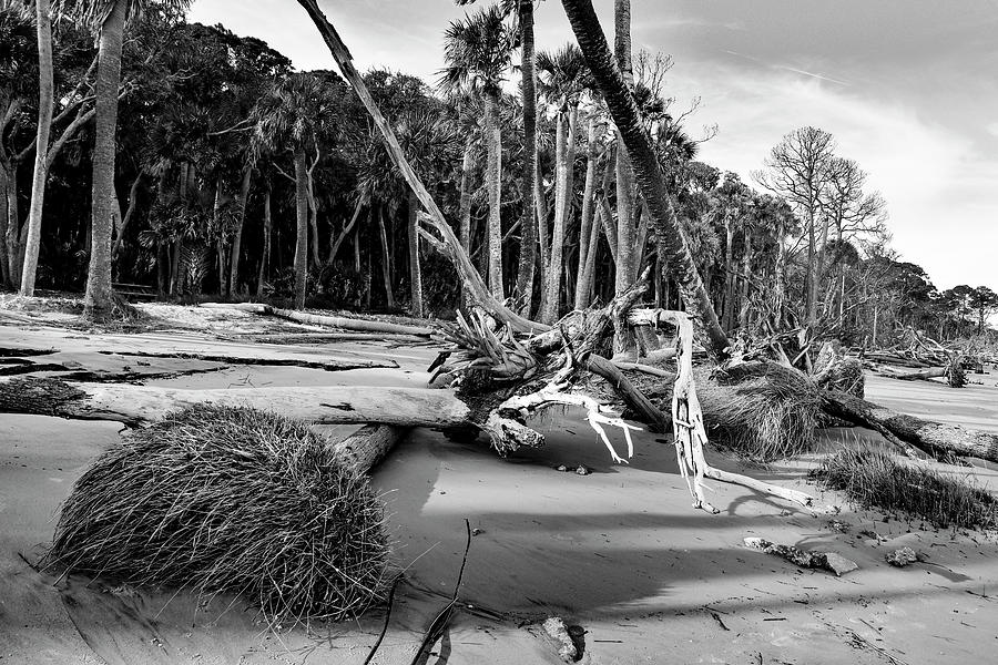 After the storm by Bill Hosford After the storm by Bill Hosford
