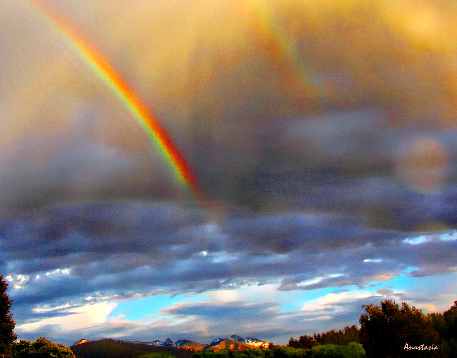 After the Storm El Valle New Mexico Photograph by Anastasia Savage Ealy