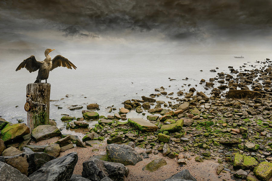 Beach Digital Art - After the Storm by William Bader