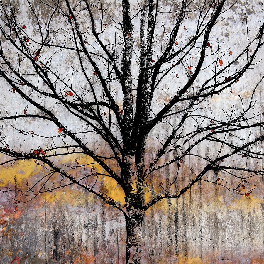 Fall Mixed Media - After the Wind by Carol Leigh