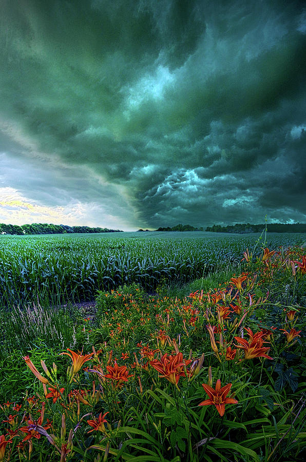 After Thought Photograph by Phil Koch