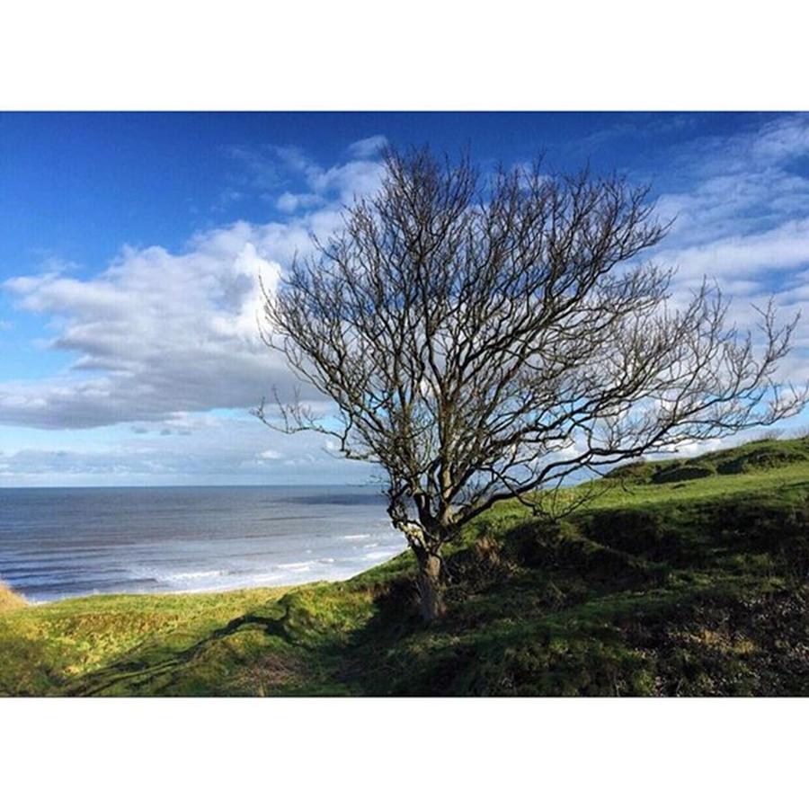 Tree Photograph - After Todays Miserable Weather ✨ by Rebecca Bromwich