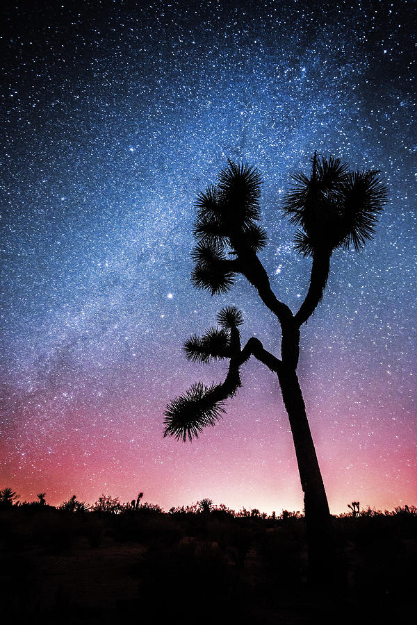 Joshua Tree National Park Photograph - Afterglow by Justin Lowery