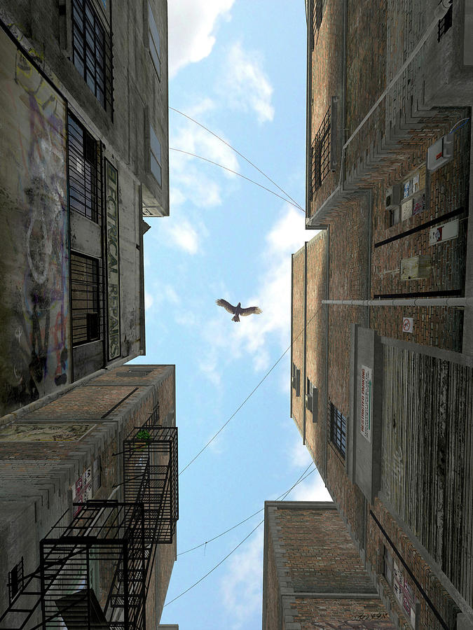 Hawk Digital Art - Afternoon Alley by Cynthia Decker