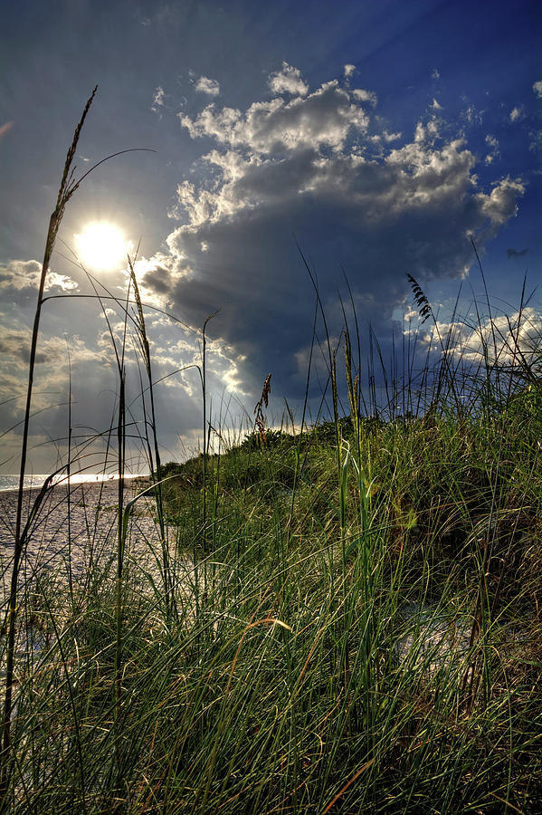 Afternoon At A Sanibel Dune Photograph by Greg and Chrystal Mimbs