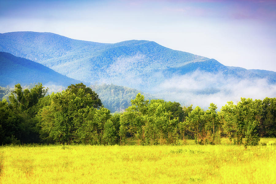 Afternoon at Cades Cove Photograph by Todd Ryburn