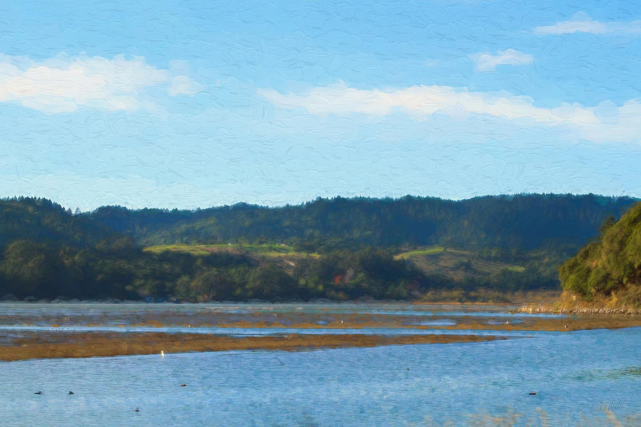 Afternoon at Marin Wetlands Photograph by Bonnie Follett