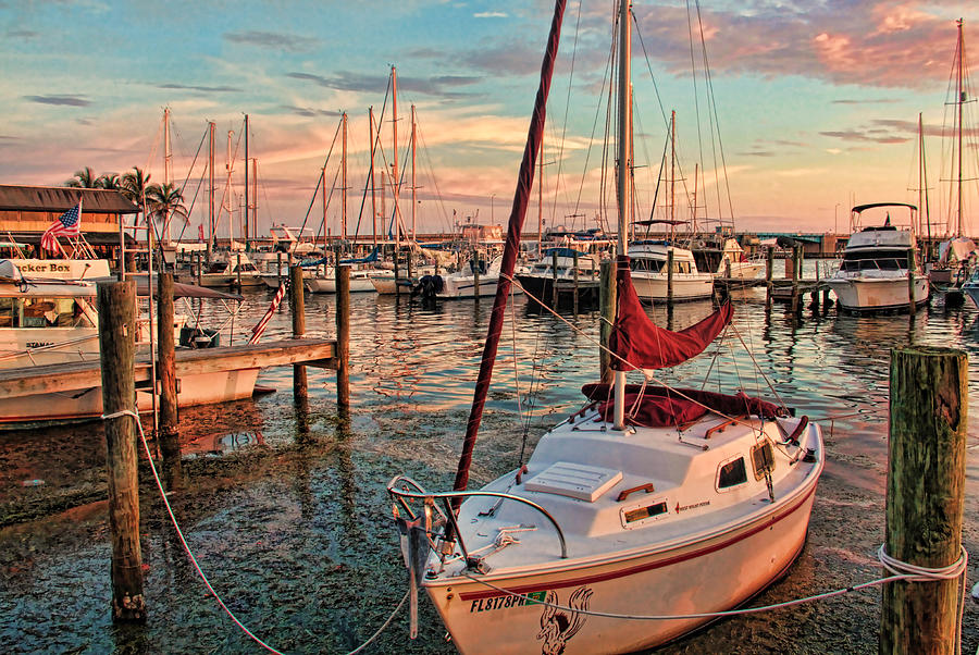 Afternoon At The Marina Photograph by HH Photography of Florida