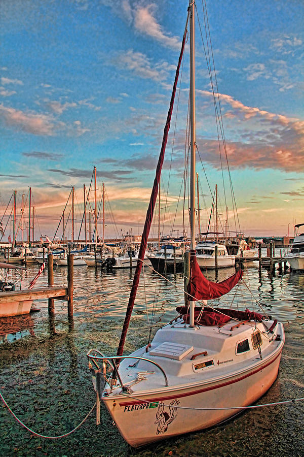 Afternoon At The Marina - Vertical Photograph by HH Photography of Florida
