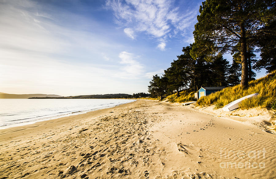 Afternoon beach landscape  Photograph by Jorgo Photography