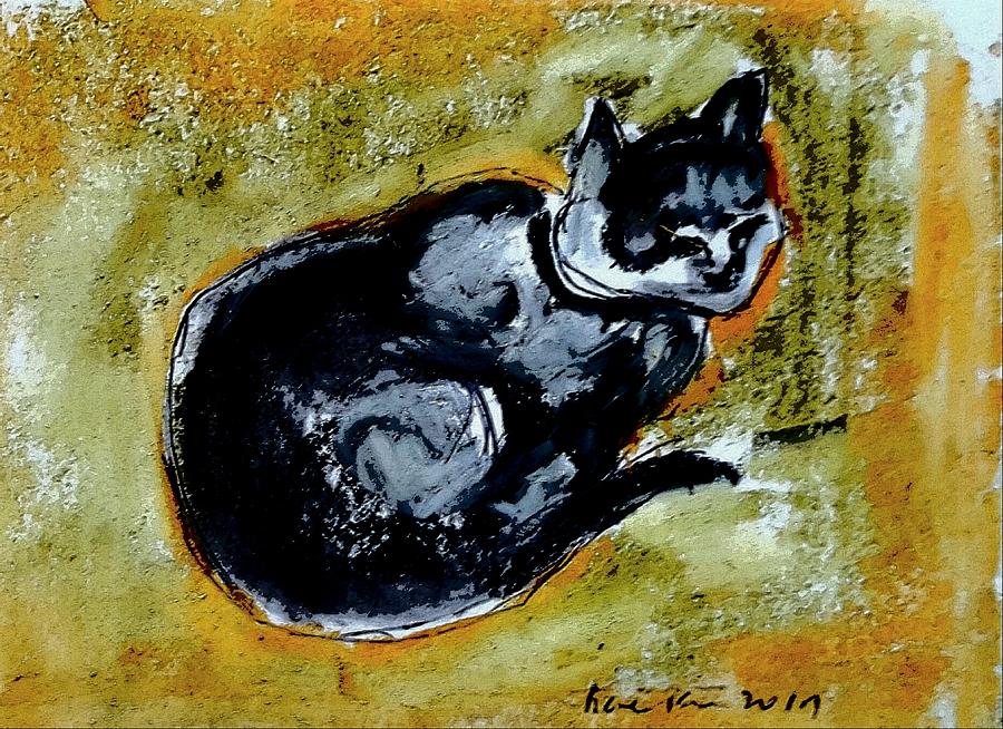 Afternoon Cat Drawing by Hae Kim