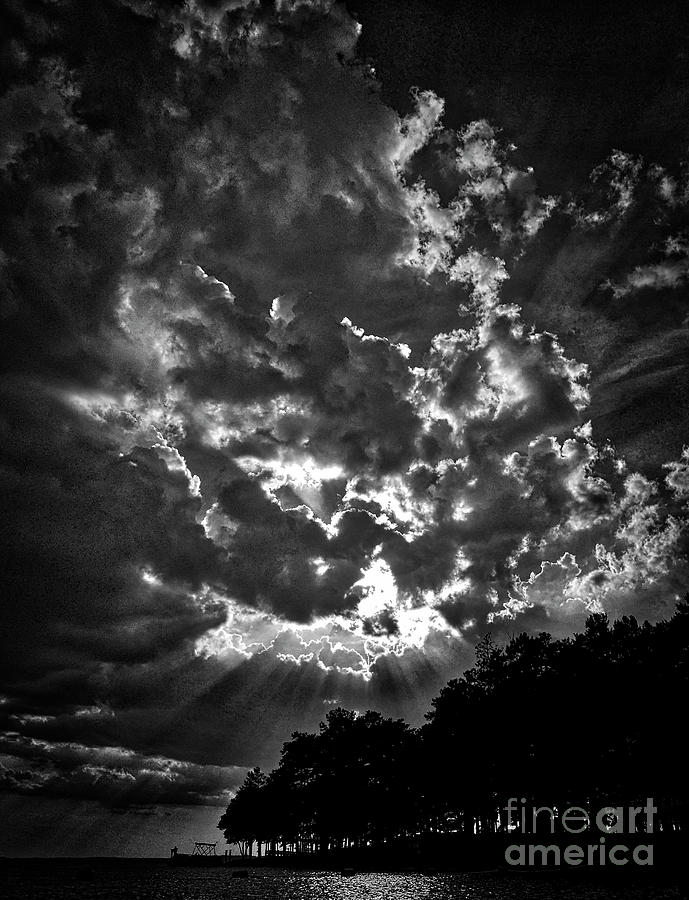Afternoon Delight Bnw Photograph by Skip Willits
