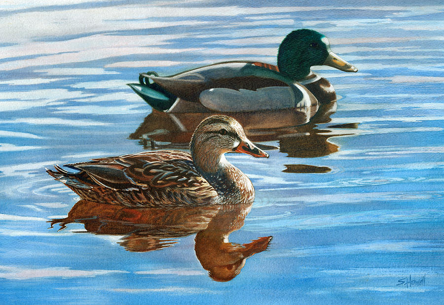 Duck Painting - Afternoon Delight by Sandi Howell