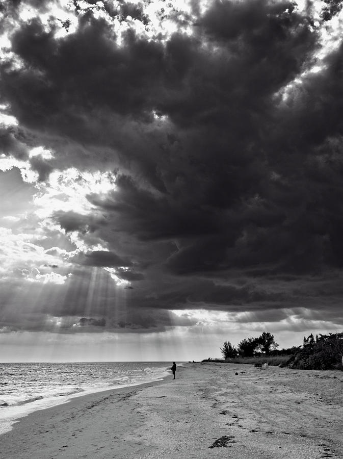 Afternoon Fishing On Sanibel Island in Black And White Photograph by Greg and Chrystal Mimbs