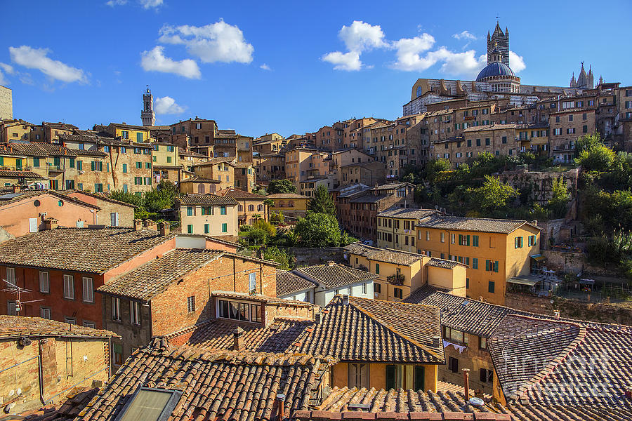 Architecture Photograph - Afternoon in Siena by Spencer Baugh