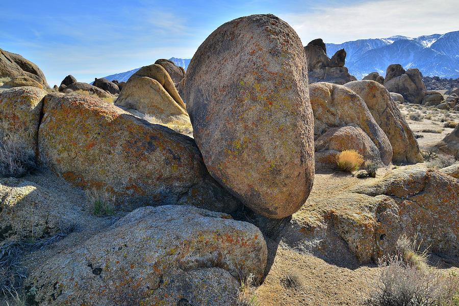Afternoon in the Alabama Hills Photograph by Ray Mathis
