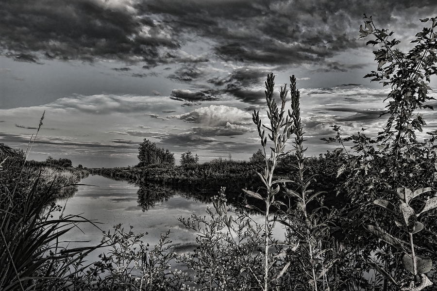 Afternoon in the Mead Wildlife Area Black and White Photograph by Dale Kauzlaric