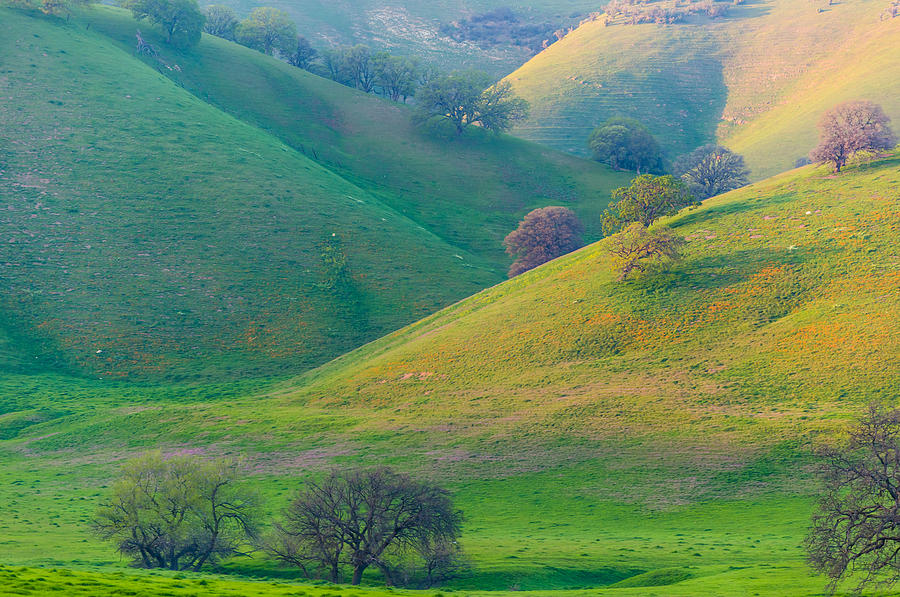 Antioch Photograph - Afternoon Light on Hills by Marc Crumpler