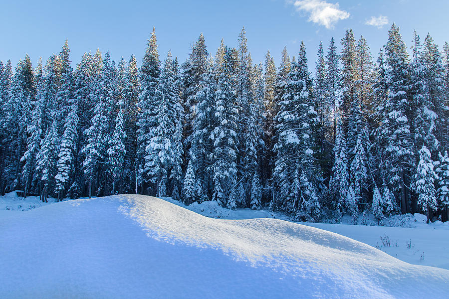 Afternoon Light on Snow Photograph by Marc Crumpler