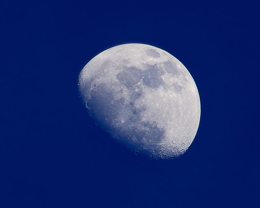 Afternoon Moon Photograph by Greg Norrell