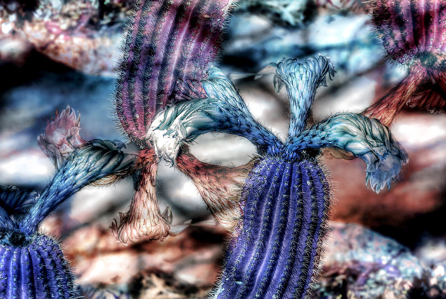 Abstract Photograph - Afternoon Of The Triffids by Wayne Sherriff