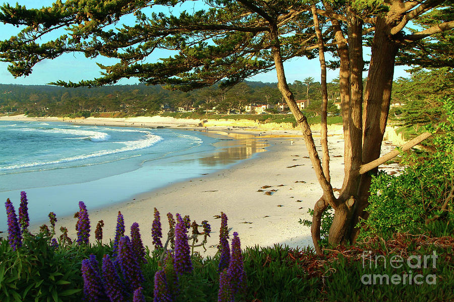 Afternoon on Carmel Beach Photograph by Charlene Mitchell