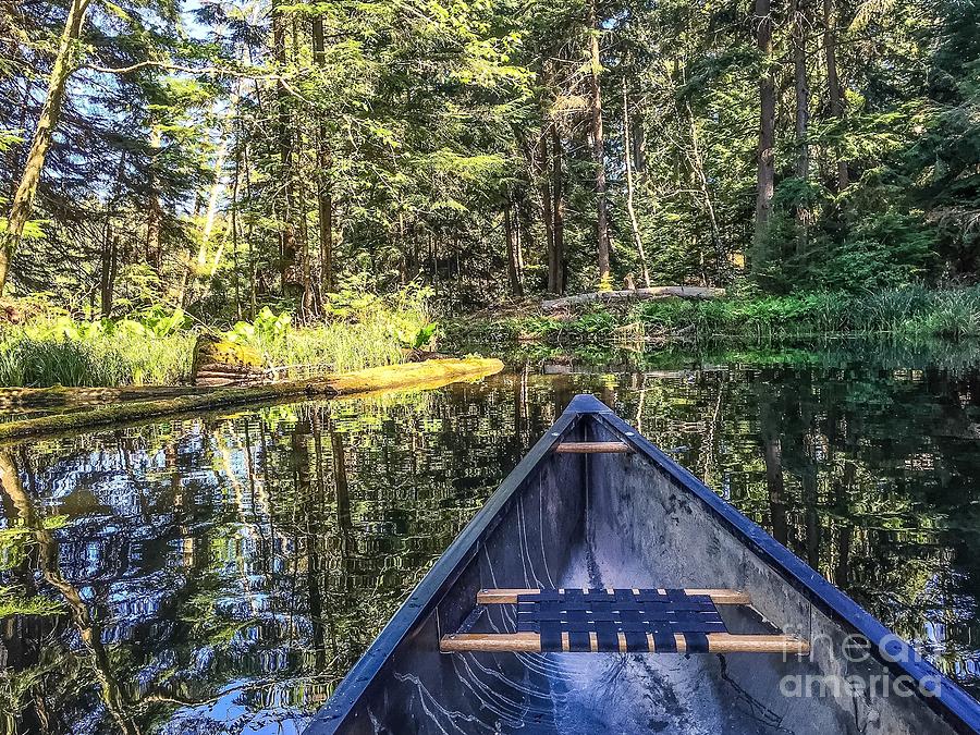 Afternoon Paddle Photograph by William Wyckoff