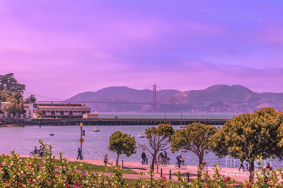 Afternoon relaxation in San Francisco Photograph by Claudia M Photography