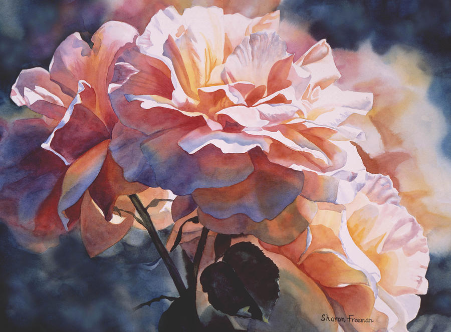 Rose Painting - Afternoon Rose  by Sharon Freeman