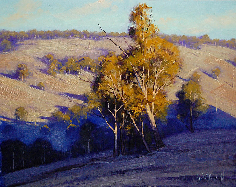 Summer Painting - Afternoon Shadows Turon Hills  nsw Australia by Graham Gercken