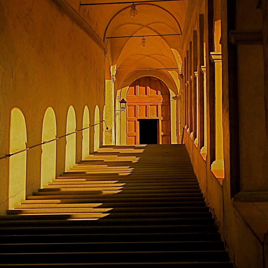 Afternoon Sun-Certosa del Galluzzo Photograph by Nicola Fiscarelli