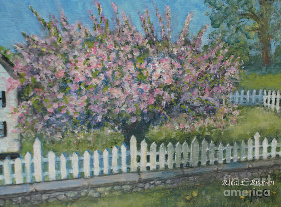 Afternoon Sun on Crabapple Tree Painting by Rita Brown