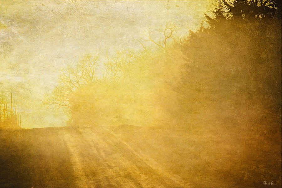 Afternoon Sunshine Country Road Photograph by Anna Louise