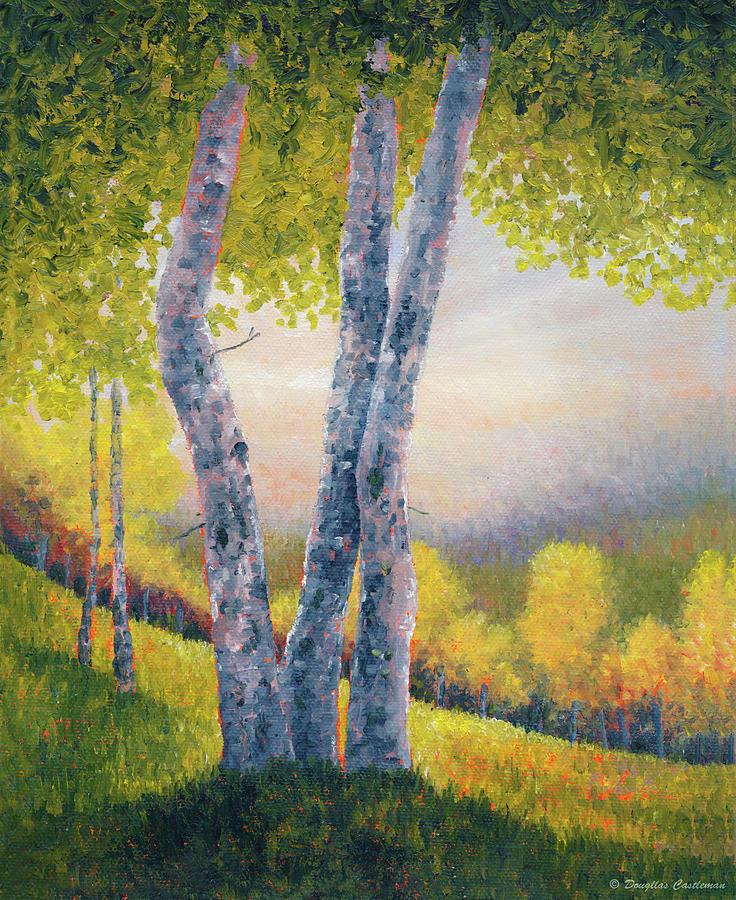 Afternoon Trees Painting by Douglas Castleman