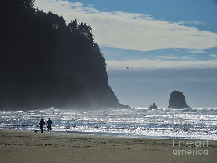Cape Meares Photograph by Michele Penner