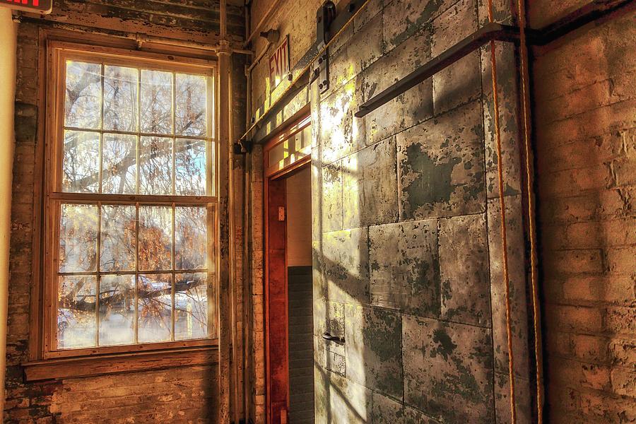 Afternoon Window Light Photograph by Marisa Geraghty Photography