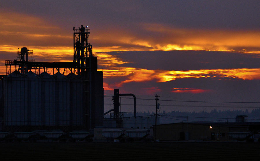 Ag Industry at Sunset Photograph by Josephine Buschman