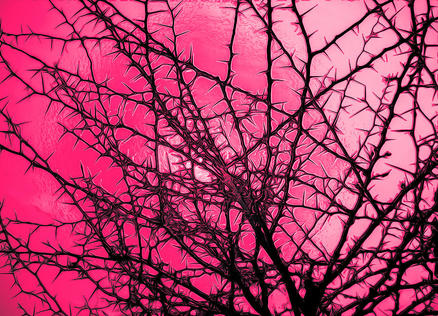 Nature Photograph - Against the fuchsia sky by AM FineArtPrints