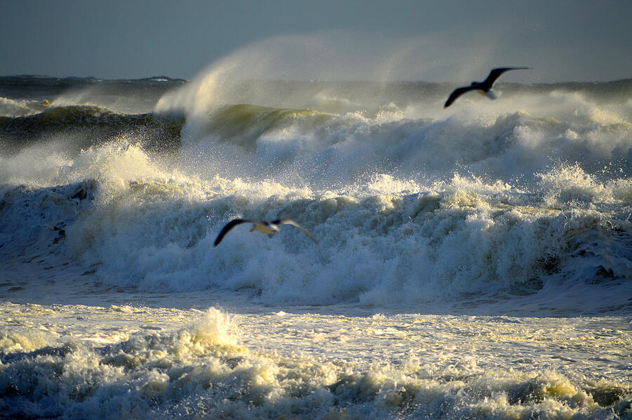 Against The Wind - Nauset Beach Photograph by Dianne Cowen Cape Cod Photography