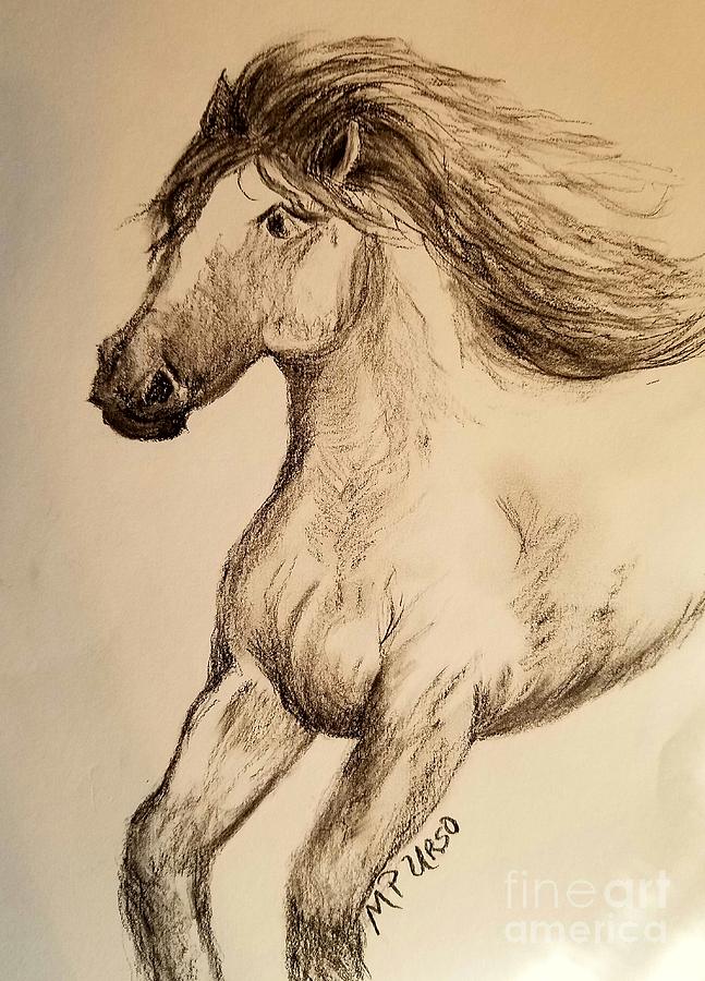 Against the Wind Drawing by Maria Urso