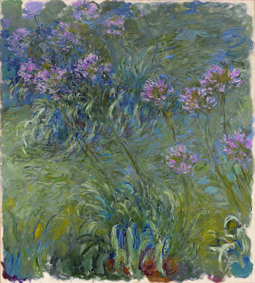 Agapanthus Flowers, 1914 Painting by Claude Monet - Fine Art America