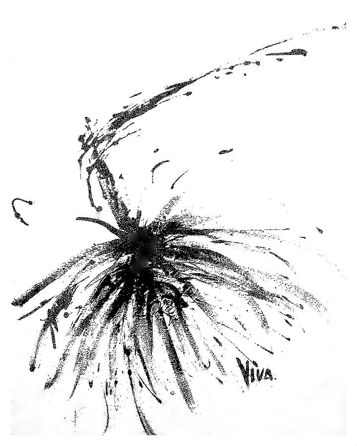 Agapanthus Original Drawing Drawing by VIVA Anderson